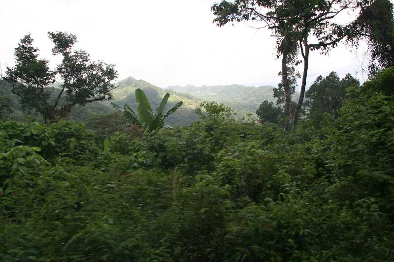 Mexico & Guatemala 2010 - 0316